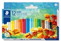 Afbeelding van 243NC12