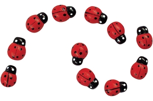 Afbeelding van 8868700